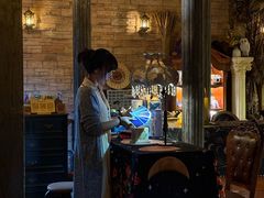 -雪灵魔法世界SHELLY’S TAROT(大良桂畔里店)