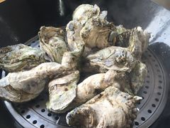 -蚝专家(北滘店)