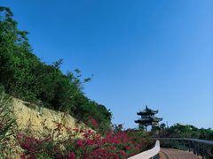 -东澳岛