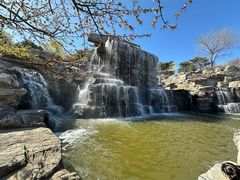 -北京西山国家森林公园