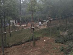 -梦幻奥陶纪景区