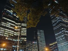 -中央广播电视总台(光华路办公区)