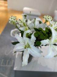 -HEYAN长风荷妍专业脱毛美肤

