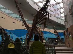 -陕西自然博物馆