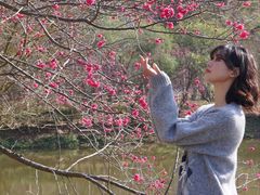 -田野绿世界