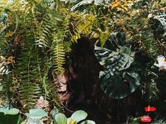 -颐而康·按摩·艾灸·足疗(武陵大道店)