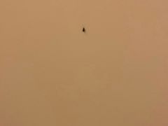 -阿瓦尼河滨曼谷酒店