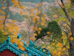 -青岛崂山太清宫