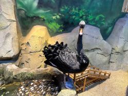 -酷嗒动物文化乐园(cutezoo西溪乐天城店)