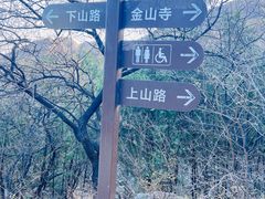 -阳台山自然风景区