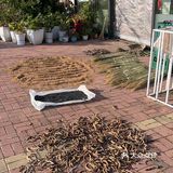 非常神秘的一个地方