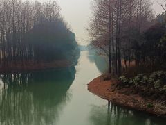 -贡湖湾湿地公园
