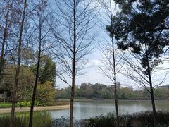 -雀儿山公园