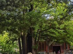 -红螺寺