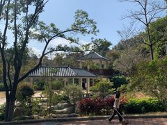 -火炉山森林公园