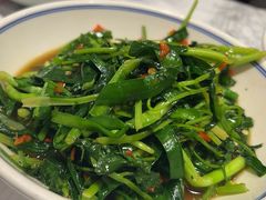 -壹盏灯(惠农店)