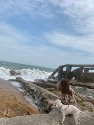 -HANYI韩艺形象店