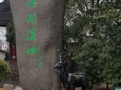 -溱湖国家湿地公园