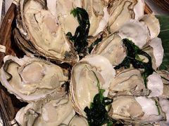 -小螺号海鲜·地道鲁菜(省体总店)