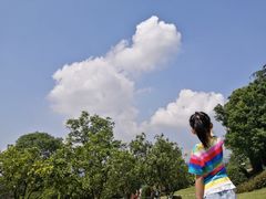 -铁山坪森林公园