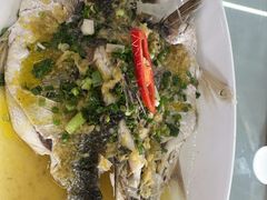 -八仔大富楼·河鲜(西江店)