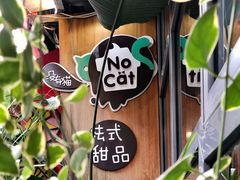 -No Cat 手碟