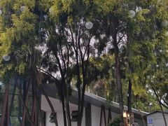 -张坝桂圆林公园
