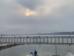 -鄱阳湖国家湿地公园