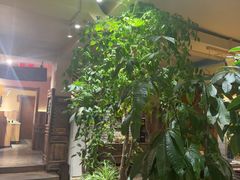 -慢丽江·云南野生菌土鸡锅(付家庄店)