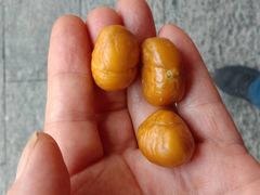 -高记福桂桂花糖炒栗(鼓楼店)