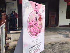 -汇龙潭