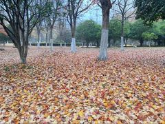 -白塘生态植物园