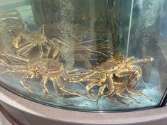 -海底捞大排档火锅(打浦路店)