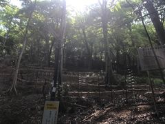 -岚山猴子公园