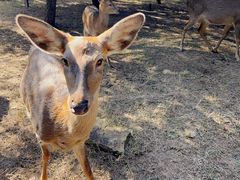 -观唐（国际）度假村温泉