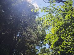 -北京上方山国家森林公园
