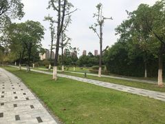 -白塘生态植物园