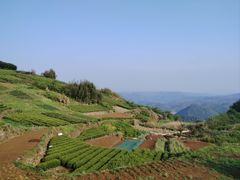 -十九峰景区-倒脱靴