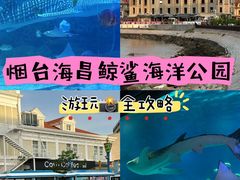 -烟台海昌鲸鲨海洋公园