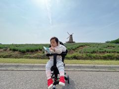 -大塘金香草谷
