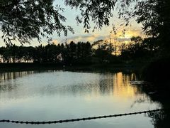 -贡湖湾湿地公园