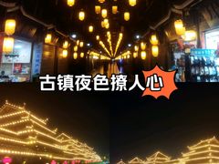 -龙津风雨桥