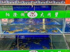 -阳澄湖大闸蟹·琼灵阁牌品牌连锁(吴中总店)