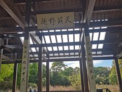 -长广溪湿地公园