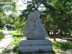 -北京大学赛克勒考古与艺术博物馆
