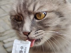 -北寺塔