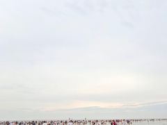 -奉贤海滩