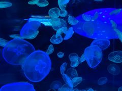 -多彩贵州城极地海洋世界