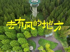 -黄海国家森林公园