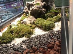 -潮发潮汕牛肉店(永庆坊店)